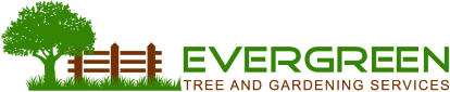 Evergreen Tree and Gardening Services